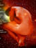 Descripci�n: http://www.revistanudelot.com.ar/edicion17/img/destacados.jpg