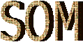 SOM
